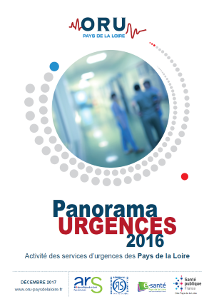Panorama Urgences 2016. Activité des services d'urgences des Pays de la Loire