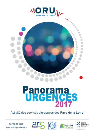 Panorama Urgences 2017. Activité des services d'urgences des Pays de la Loire