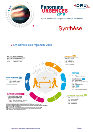 Panorama Urgences 2018. Activité des services d'urgences des Pays de la Loire. Synthèse