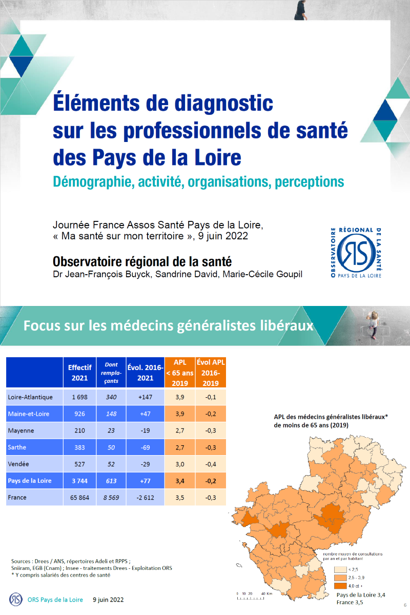 Éléments de diagnostic sur les professionnels de santé des Pays de la Loire. Démographie, activité, organisations, perceptions