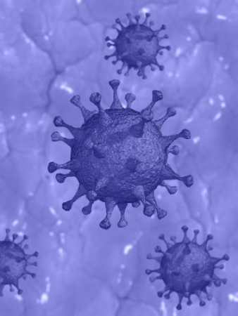 Coronavirus Covid-19