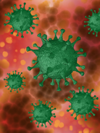 Coronavirus Covid-19 : une newsletter hebdomadaire dédiée