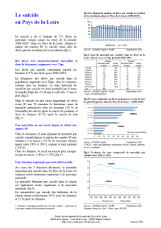 Situation épidémiologique du suicide dans les Pays de la Loire et les départements. Édition 2006