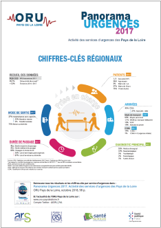 Chiffres-clés du Panorama Urgences 2017. Activité des services d'urgences des Pays de la Loire