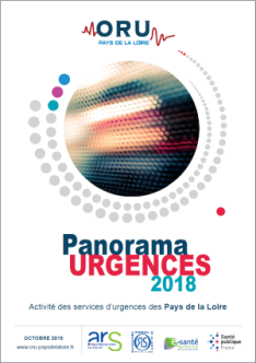 Panorama Urgences 2018. Activité des services d'urgences des Pays de la Loire