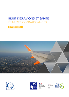 Bruit des avions et santé. Synthèse de la littérature